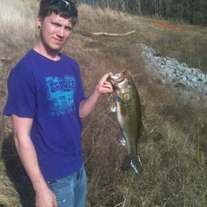 Meet your Posher, Freddy